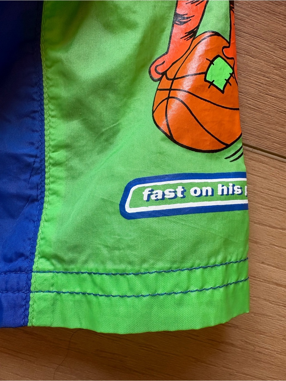 Blue and Green Kids Swim Trunks with Tigger Graphic - Picture 3 of 6